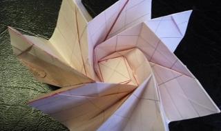 简易玫瑰花的折叠方法 玫瑰花折纸教程